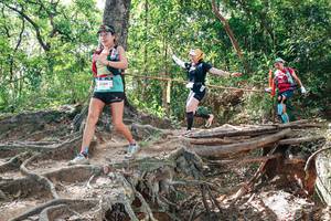 BIB: 
                            <button type="button" onclick="openModal(27719863)" class="btn btn-primary btn-sm float-right btn-popup" data-toggle="modal" data-target=".modal-high-quality">
                        <i class="fas fa-shopping-cart"></i> Add to Cart
                    </button>
                                            <button type="button" onclick="isThisMe(27719863, true)" class="btn btn-success btn-sm float-right btn-popup btn-isme hidden" data-toggle="tooltip" data-placement="bottom" title="นี่คือรูปของคุณใช่ไหม คลิกที่นี่เพื่อเอาเข้าอัลบั้ม">
                        <i class="fas fa-plus"></i> Add to album
                    </button>
                    <button type="button" onclick="isThisMe(27719863, false)" class="btn btn-warning btn-sm float-right btn-popup btn-isnotme hidden">
                        <i class="fas fa-ban"></i> Remove from album
                    </button>